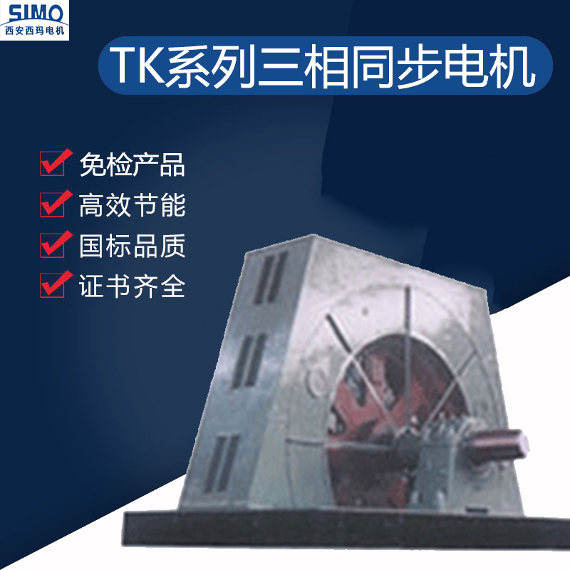 TK系列壓縮機用大型三相同步電機