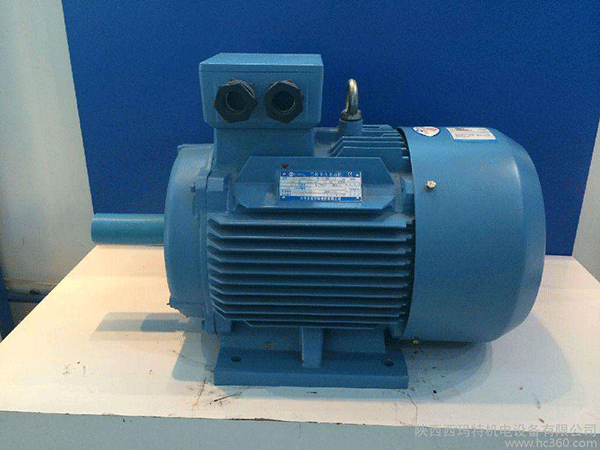 電廠高效節(jié)能電機(jī)的應(yīng)用研究——西安西瑪電機(jī)（西安西瑪電機(jī)集團(tuán)股份有限公司）官方網(wǎng)站